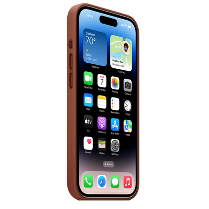 Leather Back Cover Case for iPhone 16 Pro Max - Umber